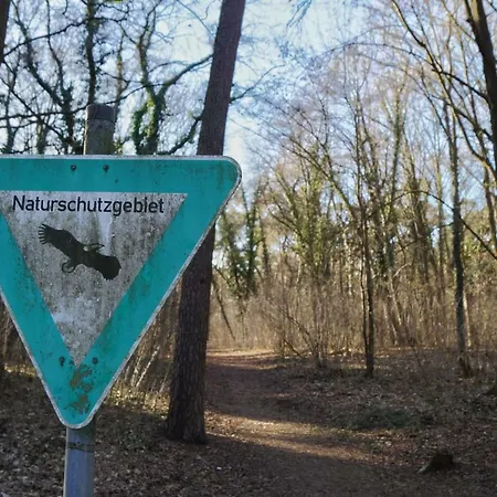 Lägenhet Gonsenheim 1-zimmer Nah Am Wald Mainz