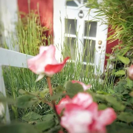 Gonsenheim 1-zimmer Nah Am Wald Lägenhet