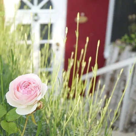 Gonsenheim 1-zimmer Nah Am Wald