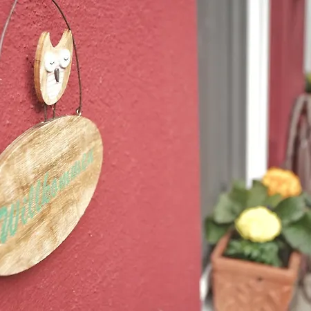 Lägenhet Gonsenheim 1-zimmer Nah Am Wald