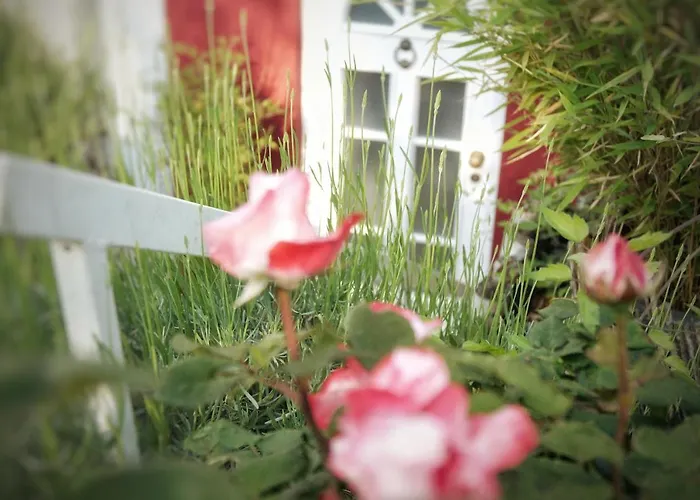 Gonsenheim 1-zimmer Nah Am Wald דירה