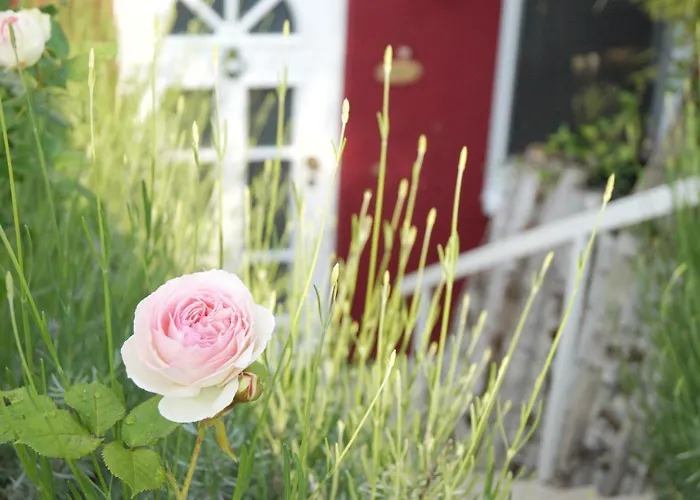 Gonsenheim 1-zimmer Nah Am Wald